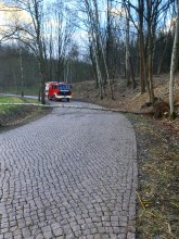 Einsatzfoto TH-1_19_2.jpeg