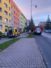 Einsatzfoto Tragehilfe_28-9.jpeg