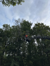 Einsatzfoto 140_TH_Klein_16_09_3.jpg